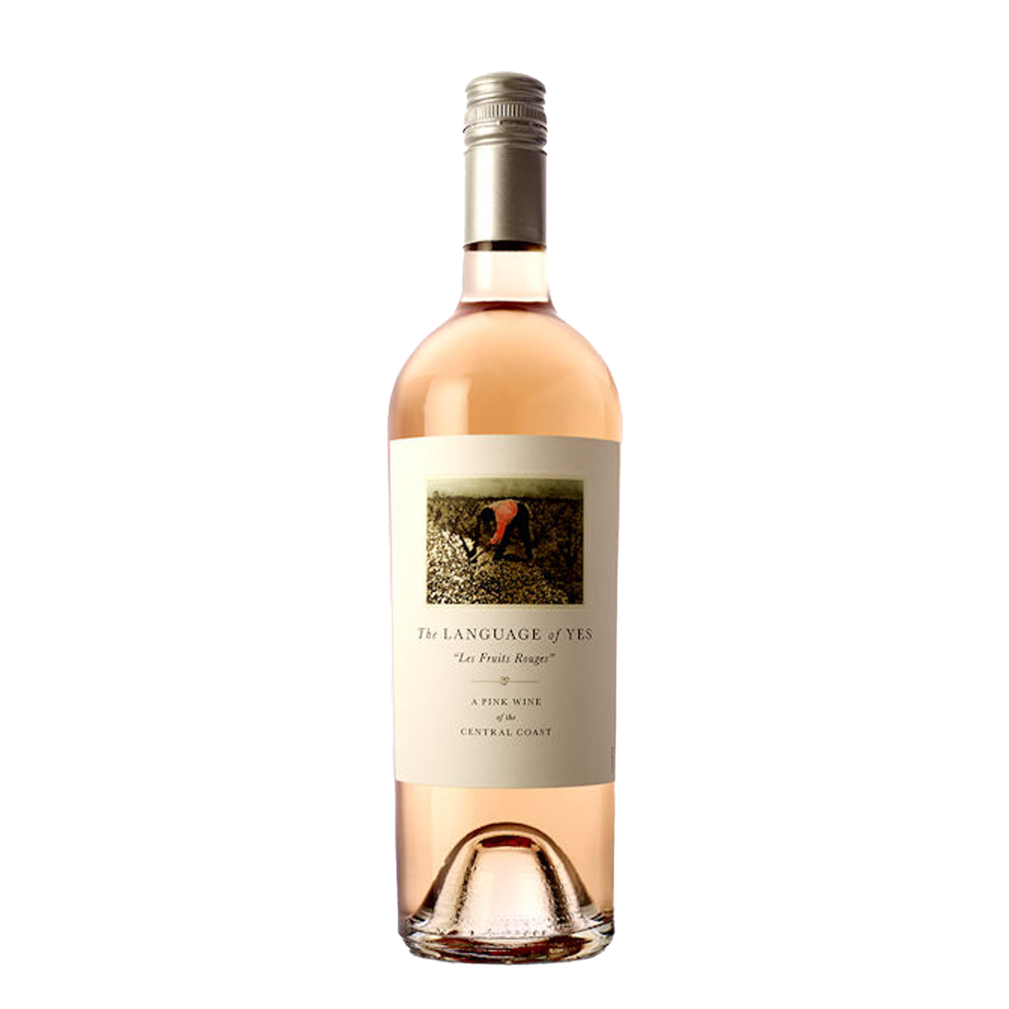 Language of Yes Rose - Bottles Fine Wine
