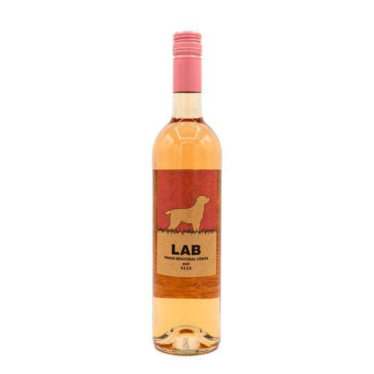 Casa Santos Lima Lab Rose