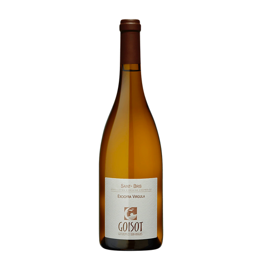 Guilhem et Jean-Hugues Goisot 'Exogyra Virgula'