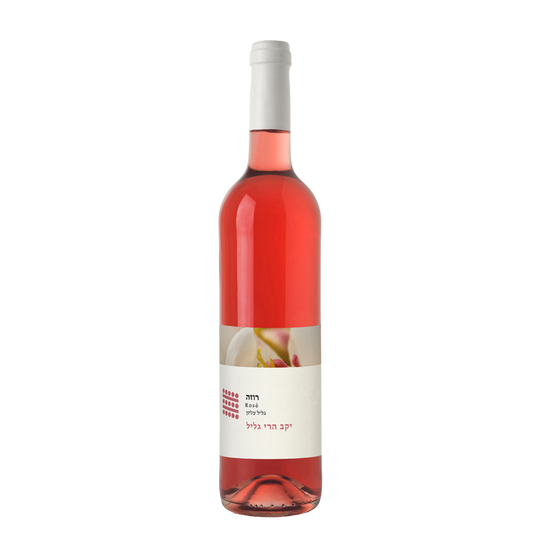 Galil Mountain Rose
