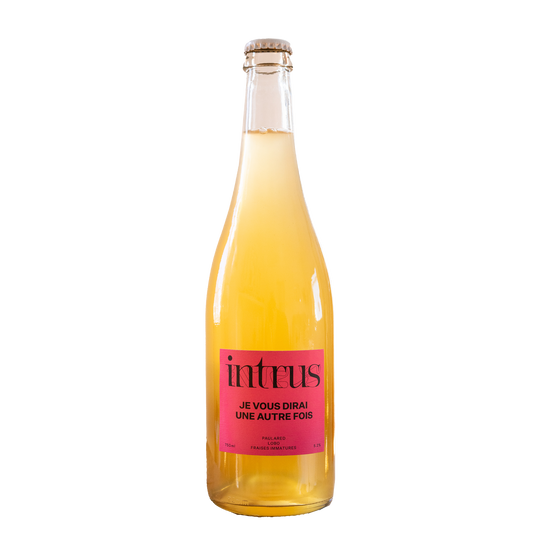 Intrus Cider Je Vous Dirai Une Autre Fois 750ml Bottle