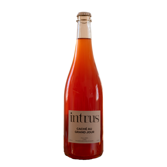 Intrus Cider Cache au Grand Jour 750ml Bottle