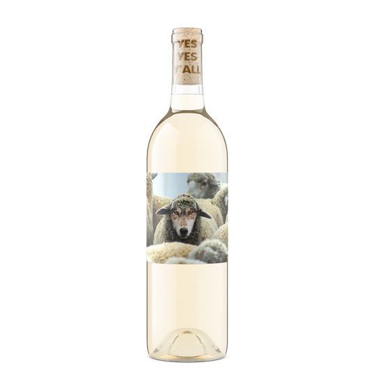 In Sheep's Clothing Pinot Grigio