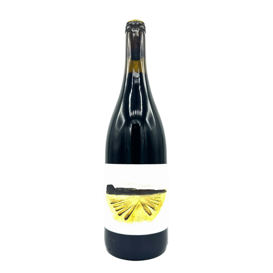 Brij Enz Vineyard Mourvedre