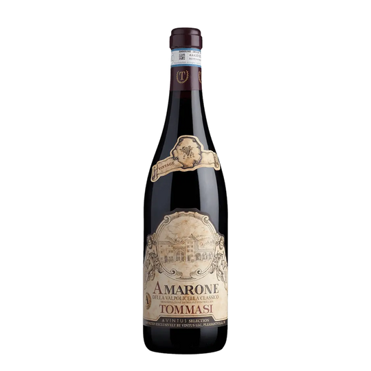 Tommasi Amarone