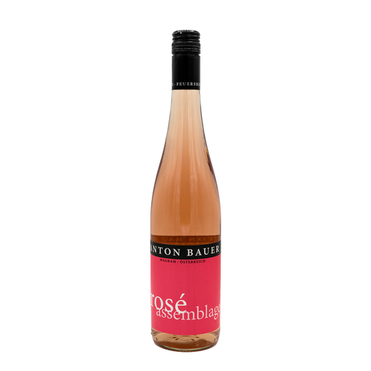 Anton Bauer Rose